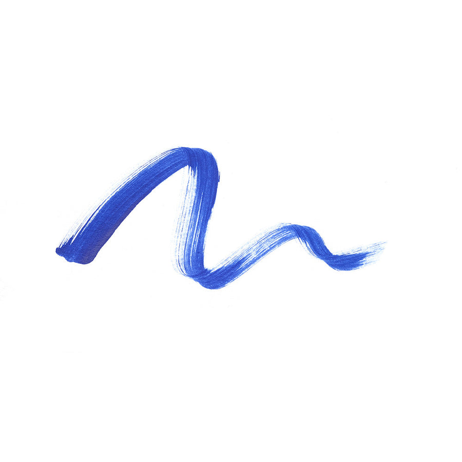 the color pen eyeliner 850
