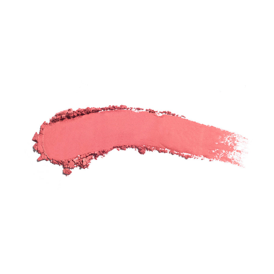 the no-rules powder 362